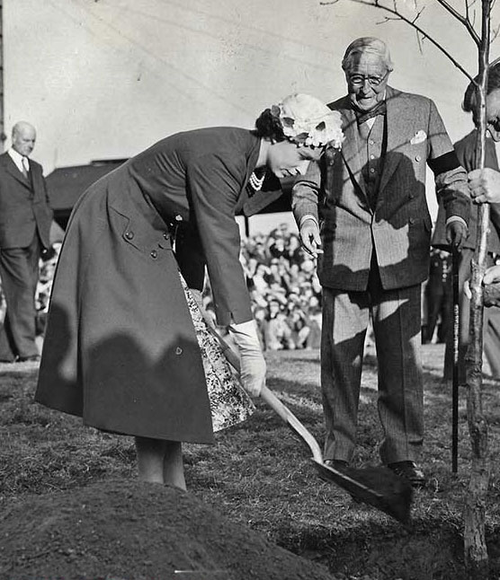 A photo of H M Queen Elizabeth II planting an oak tree at the Speech House in 1957