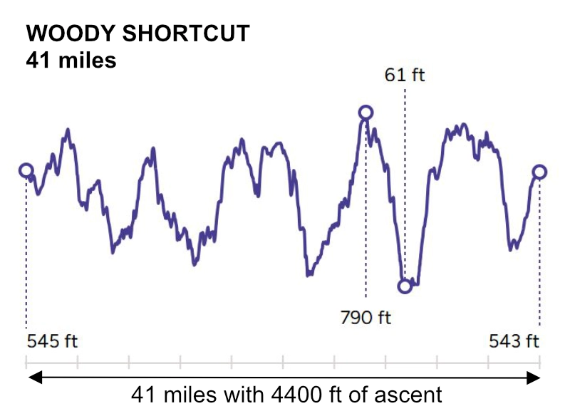 An image for Woody shortcut-41-miiles