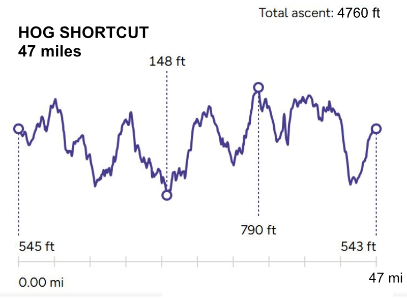 An image for The HOG - 47 miles