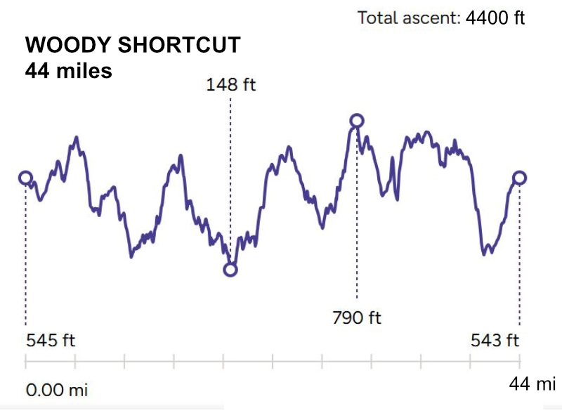 An image for the Woody shortcut -44-miiles